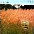 WHITE LION / ホワイト・ライオン / ビッグ・ゲーム