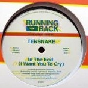 TENSNAKE / テンスネイク / IN THE END