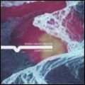 WIRES UNDER TENSION / ワイヤーズ・アンダー・テンション / ライト・サイエンス