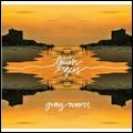 TWIN TIGERS / GRAY WAVES