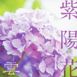 雲 / 紫陽花