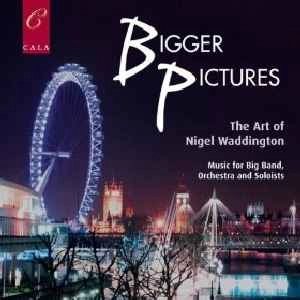 BIGGER PICTURES / ART OF NIGEL WADDINGTON