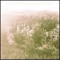 LIBRARY TAPES / ライブラリー・テープス / LIKE GREEN GRASS AGAINST A BLUE SKY