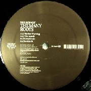 MIKE DEHNERT / MANY ROOTS