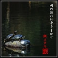 鉄メタル / 川の流れに身をまかせ