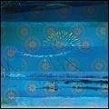 GOLD PANDA / ゴールド・パンダ / LUCKY SHINER(+ROUGH TRADE EX. BONUS CD)