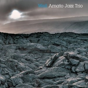 AMATO JAZZ TRIO(QUARTET) / アマト・ジャズ・トリオ / WELL