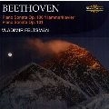 VLADIMIR FELTSMAN / ヴラディーミル・フェルツマン / BEETHOVEN:PIANO SONATAS NO.29,NO.28,