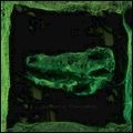 AVEY TARE / エイヴィ・テア / DOWN THERE