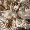 TWIN SHADOW / ツイン・シャドウ / FORGET