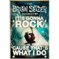 BRIAN SETZER ORCHESTRA / ブライアン・セッツァー・オーケストラ / IT'S GONNA ROCK...CAUSE THAT'S WHAT I DO