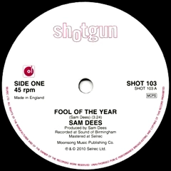SAM DEES / サム・ディーズ / FOOL OF THE YEAR + TRAIN TO TAMPA