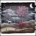 HAYLEY HUTCHINSON / GHOSTS IN THE TREES (CD-R)