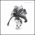 PRINZHORN DANCE SCHOOL / SEED, CROP, HARVEST