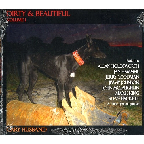 GARY HUSBAND / ゲイリー・ハズバンド / DIRTY & BEAUTIFUL