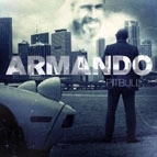 PITBULL / ピットブル / ARMANDO