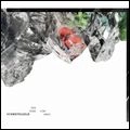 SCHWEFELGELB / シュヴェーフェルゲルブ / ＤＡＳ　ＥＮＤＥ　ＶＯＭ　ＫＲＥＩＳ