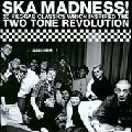 V.A. / SKA MADNESS!