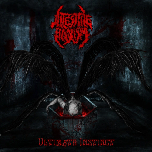 INTESTINE BAALISM / ULTIMATE INSTINCT