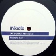 DAVID LABEIJ / FEELS LIKE T
