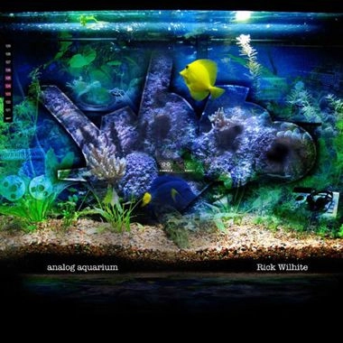RICK WILHITE / リック・ウィルハイト / アナログ・アクアリウム / ANALOG AQUARIUM