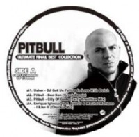 PITBULL / ピットブル / ULTIMATE FINAL BEST COLLECTION