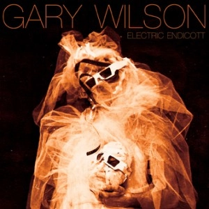 GARY WILSON / ゲイリー・ウィルソン / ELECTRIC ENDICOTT
