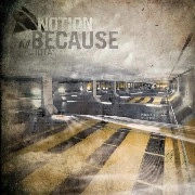 NOTION / BECAUSE/IOTA