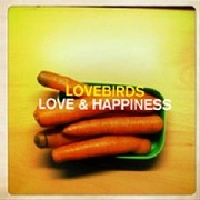 LOVEBIRDS / LOVE & HAPPINESS(STEVE BUG REMIX)