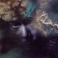 DJ KRUSH / DJクラッシュ / ＨＯＬＯＮＩＣ