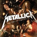 METALLICA / メタリカ / LIVE AT GRIMEY'S
