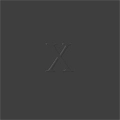 ZANN / X