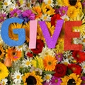 GIVE / ギブ / GIVE