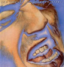 JOE COCKER / ジョー・コッカー / MADE IN SHEFFIELD