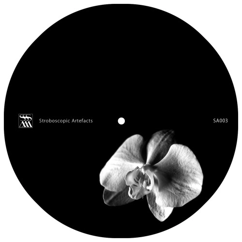 LUCY & ERCOLINO / GMORK/SO THE NOTHING GROWS STRONGER