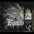 KURSED / IN THE LABYRINTHS OF DEATH<DIGI>