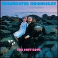 SOFT BOYS / ソフト・ボーイズ / UNDERWATER MOONLIGHT(LP) / UNDERWATER MOONLIGHT