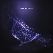 AGORIA / アゴリア / インパーマネンス