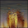 D'EON / PALINOPSIA