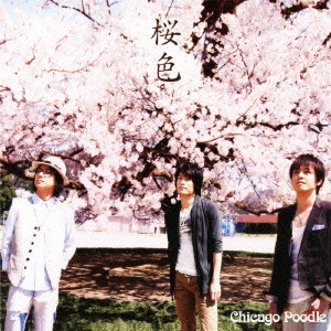 Chicago Poodle / シカゴ・ブードル / 桜色