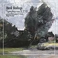 DAVID PORCELIJN / ダヴィッド・ポルセリーン / BADINGS:SYMPHONIES