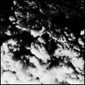 ROY MONTGOMERY / GROUPER / ROY MONTGOMERY/GROUPER
