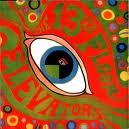13TH FLOOR ELEVATORS / サーティーンス・フロア・エレヴェーターズ / サイケデリック・サウンズ（デラックス・エ