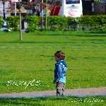 swayts / Ｉｒｉｓｈ　Ｃｈｉｌｄｒｅｎ