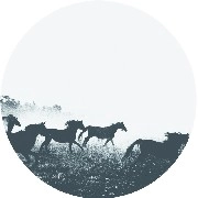 MATT O'BRIEN / STARTING OVER