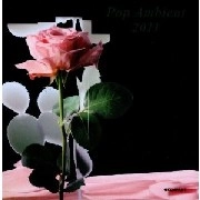 V.A.(POP AMBIENT) / POP AMBIENT 2011