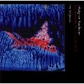 IRINA MEJOUEVA / イリーナ・メジューエワ / ベートーヴェン：ピアノ・ソナタ集 5
