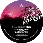 DELANO SMITH / デラーノ・スミス / I FLY