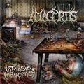 AMAGORTIS / INTRINSIC INDECENCY