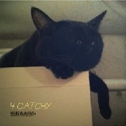 HIBIKI MAMESHIBA / ４ＣＡＴＣＨＹ